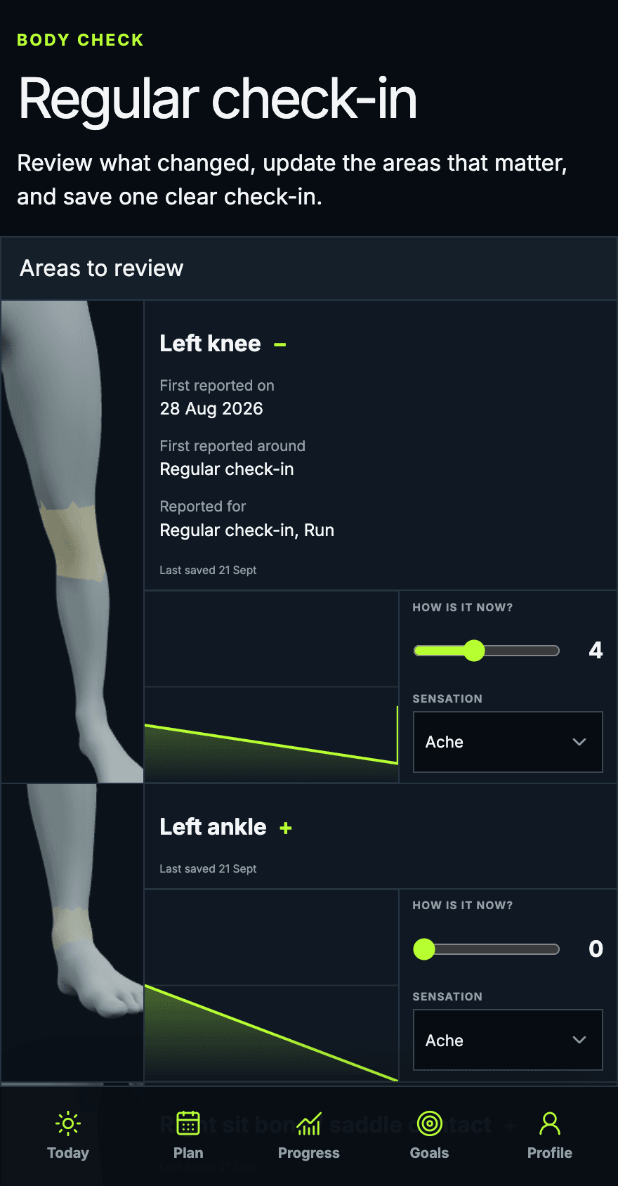 The current Body Check review showing body areas, earlier observations and intensity controls.